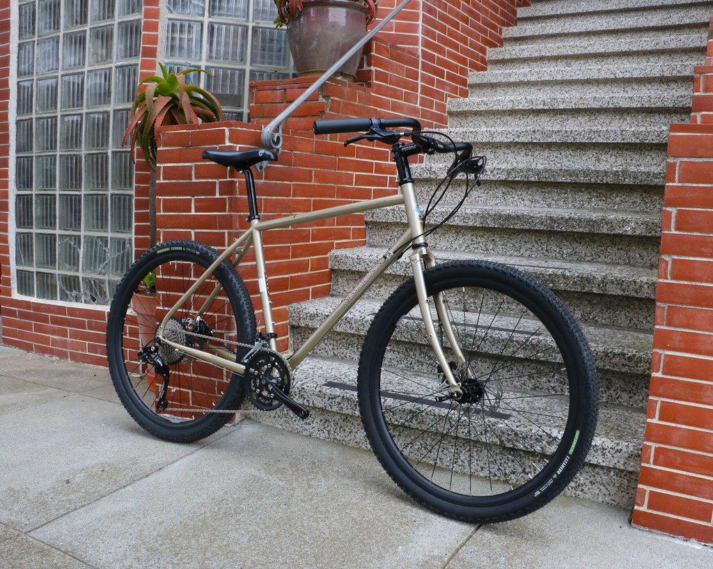 New Albion Frame Drake Champagne | The Merry Sales Co.