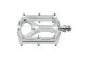 MKS_ped_Orbiter_silv2.webp