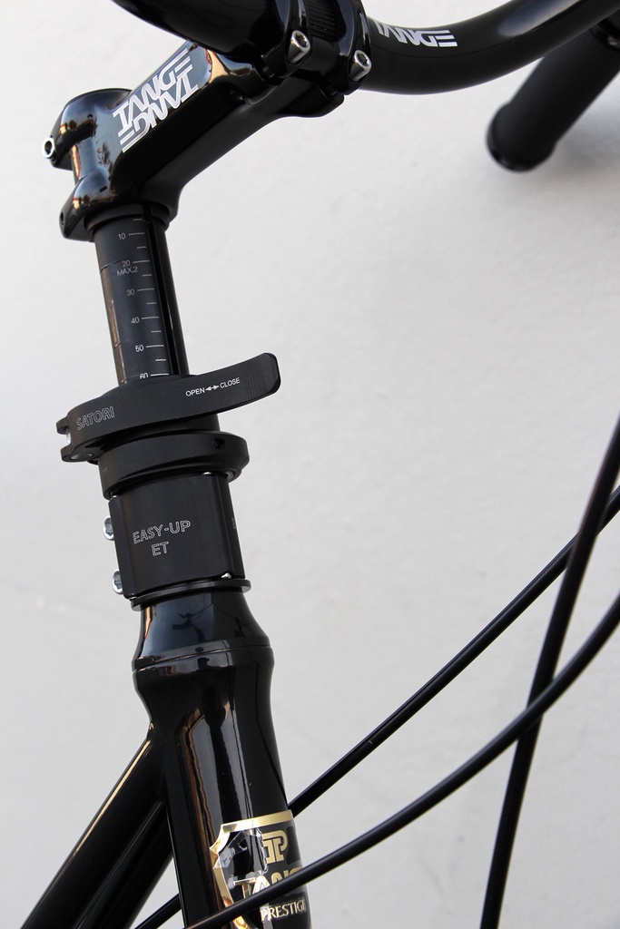 Yasujiro Mini CarGo Frameset stem