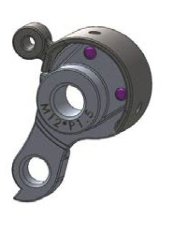Long Shen Right Dropout Insert, Thru-Axle (LR31-3-A)