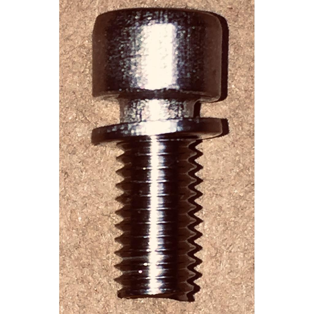 Cap Screw M5X12mm